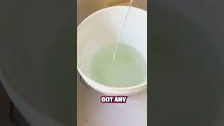 Easiest Way to Clean Your Toilet Brush! 🚽