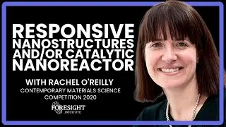 Responsive Nanostructures and/or Catalytic Nanoreactor - Rachel O&rsquo;Reilly