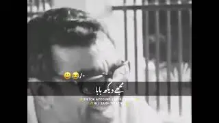 beagers funny 🤣 sense #youtubeshorts #shortvideo
