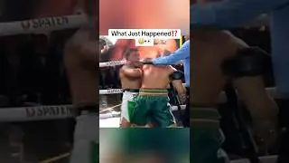 Wanderlei Silva Just Got KNOCKED OUT In Post-Fight Brawl😳👀 #ufc