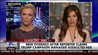 Michelle Fields Speaks Out After Claiming Trump Campaign Manager Assaulted Her