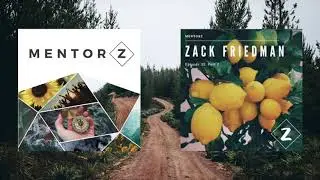 Zach Friedman part 2: Building The Best Environment For Growth - MentorZ Episode 33