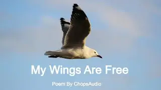My Wings Are Free - Poem By Chops