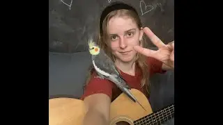 Live music with Violette Lani (and Orphe too!!) #livemusicstream #upcoming #singersongwriter