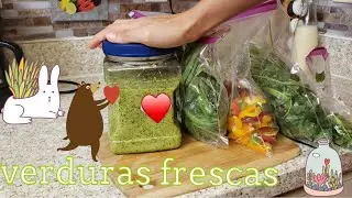 Como conservar tus verduras por más tiempo 🥰🥬🍲🥗