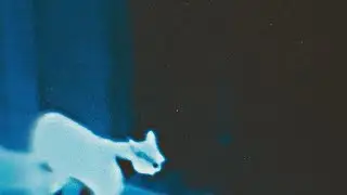 jotavenoy - u r ded to M3