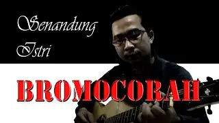 Senandung Istri Bromocorah (Iwan Fals)  Cover by Djoko Gembos