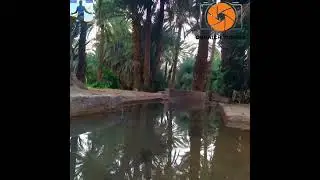 Tadighoust تاديغوست
