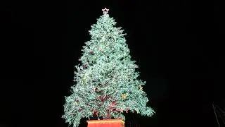 Hakodate Christmas Fantasy Japan City