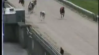 IGB - The Welcome to Mullingar  A4  07/04/2019 Race 1 - Mullingar