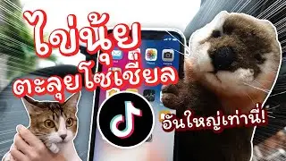 ไข่นุ้ยฝึกเล่น Tiktok หาเพื่อนใหม่ในสตู! #ไข่นุ้ยตะลุยโซเชียล #stayhome #withme