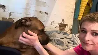 Precious Pooch