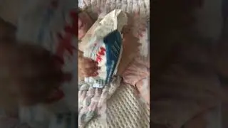 утро малыша салфетки Mykiddo