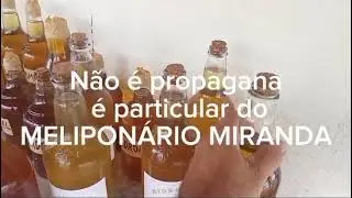 BETINA ALVES...MELIPONÁRIO MIRANDA 