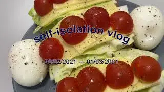 uk-self-isolation-vlog | 영국 교환학생 자가격리 브이로그