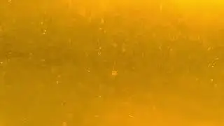 Particles floating in the yellow liquid | Free Stock Video