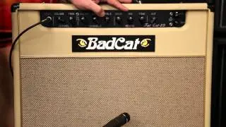 Fat Cat Demo Fender Strat 2.mov