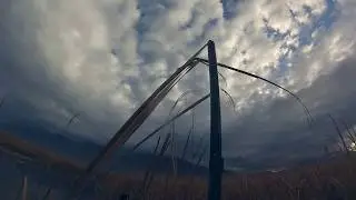 Utah Lake Duck Hunting UMA