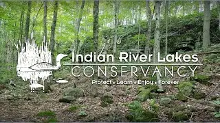 Introduction to Grand Lake Reserve, Theresa NY