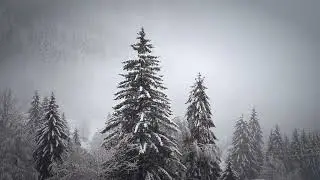 Snow Winter 4K Relaxation Film | Meditation Relaxing Music | Winter Soundscape | Nature Sounds