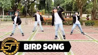 BIRD SONG ( Dj Renz John Remix ) - Dance Trends | Dance Fitness | The South Force