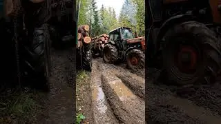 Zetor 7245 vs  The Mud Who wins 🚜💪