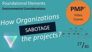 How to deliver projects successfully in any organization?