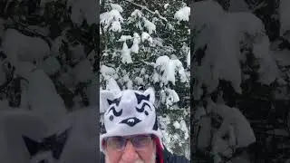 Cleverly Disguised as Bucky Badger With A Very Vocal Chickadee