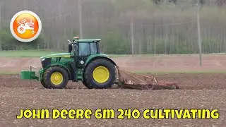 Tillage 2025 | John Deere 6M 240 cultivating with S-tine harrow