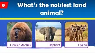 10 Funniest, Weirdest Animal Records || How Many Can You Get?