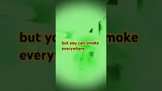 Why we smoke weed and our thought process