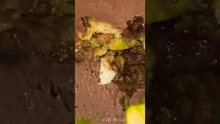🔥ТАРТ &ldquo;ФИСТАШКОВО &ndash; ШОКОЛАДНОЕ НАСЛАЖДЕНИЕ&rdquo;🔥TART &ldquo;PISTACHIO &ndash; CHOCOLATE DELIGHT&rdquo;🔥