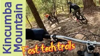 We're back riding tech trails at Kincumba Mountain