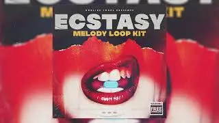 (FREE MELODY LOOP KIT) 