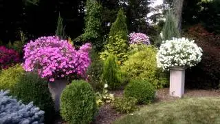 Unbelievable Avon garden.