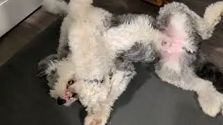 Jasper & Katie