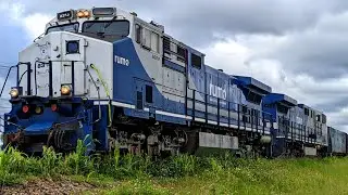 Trem Rumo de carga vazio - sitio cercado - Curitiba Paraná #4