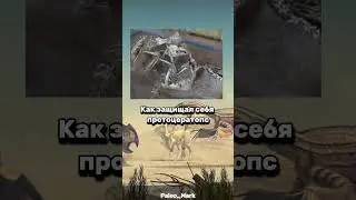Битва мезозоя #dinosaur #paleontology #биология #наука #палеонтология
