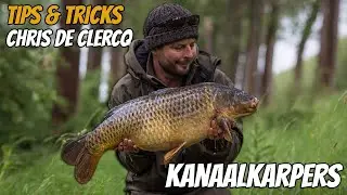 KANAALVISSEN OP KARPER IN BELGIË – Kanaalkarpers met Chris de Clercq van Fox | KWO Community
