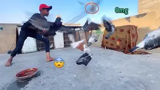 Aaj Chhat Par Kabootar Aaya 🤪