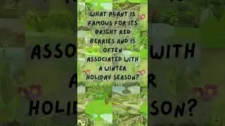 Garden Puzzle Challenge Day 26 | Guess What Plant This Is #trivia #planttrivia #winter