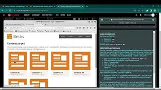 SQL injection Vulnerability with & without SQL map & Remote Shell Access.