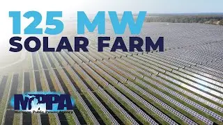 The Power of Joint Action in Renewable Energy Projects