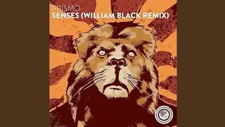 Prismo - Senses (William Black Remix) (Video Release)