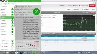 Daily Binary Profits v7 2014 Review