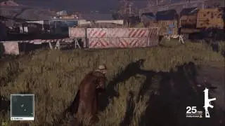 HITMAN - The Mallory Misfortune SA (Level 5)