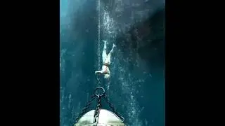 AC4🐬Le grand bleu🐳