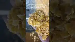 (Bremetz Machinery)#steam flaked corn production line#cornflakesmakingmache
