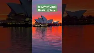 Beauty of Opera House, Sydney #ytshorts #travel #beautifulplaces #tranding #sydney #visitsydney