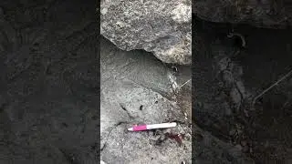 Carboniferous limestone and sandstone layers at Dunber